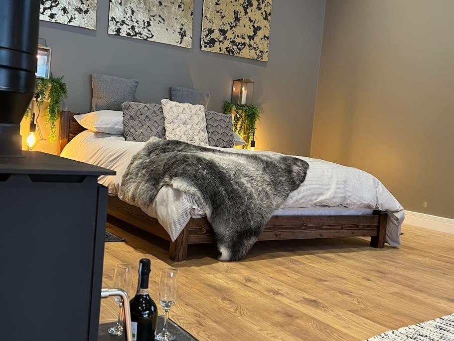 Villa Quirky, Luxury Hideaway Llanbrynmair Esterno foto