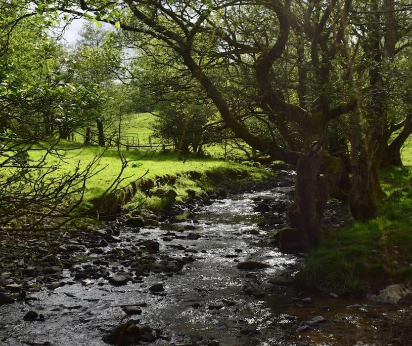 Villa Quirky, Luxury Hideaway Llanbrynmair Esterno foto