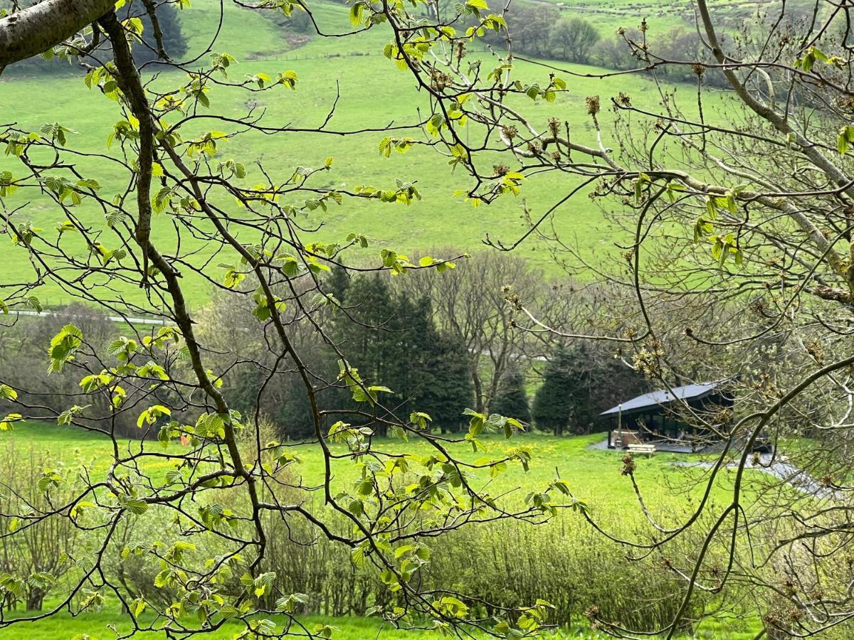 Villa Quirky, Luxury Hideaway Llanbrynmair Esterno foto